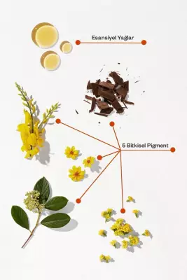 Phyto Phytocolor 1 Siyah Saç Boyası - 2