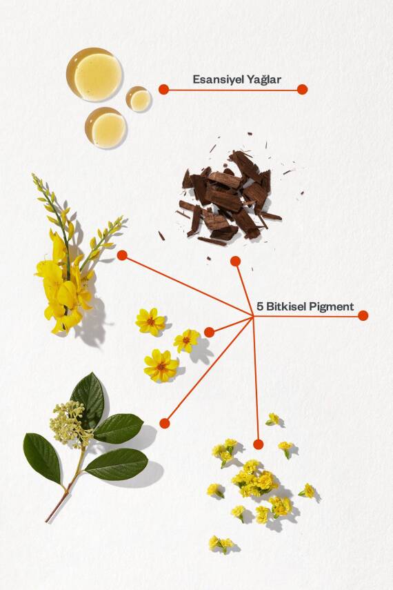 Phyto Phytocolor 8.3 Light Golden Blonde 8.3 Sarı Dore Bitkisel Saç Boyası - 2
