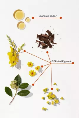 Phyto Phytocolor Bitkisel 5 Açık Kestane Saç Boyası - 3