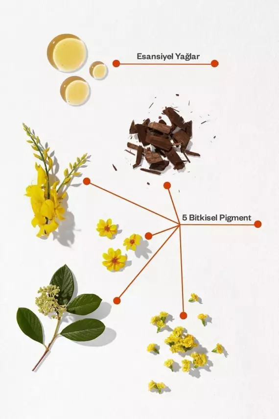 Phyto Phytocolor Bitkisel 5 Açık Kestane Saç Boyası - 3